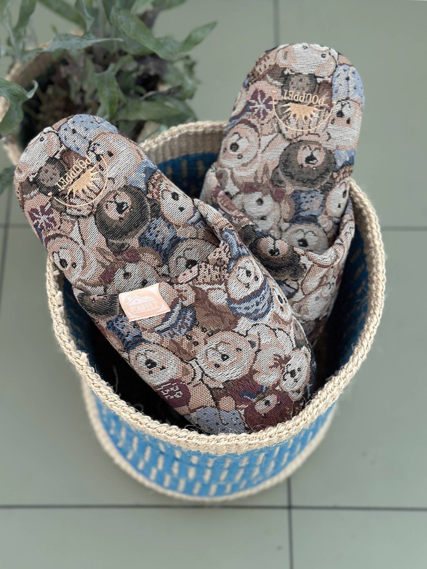 Bear Bear Room Shoes