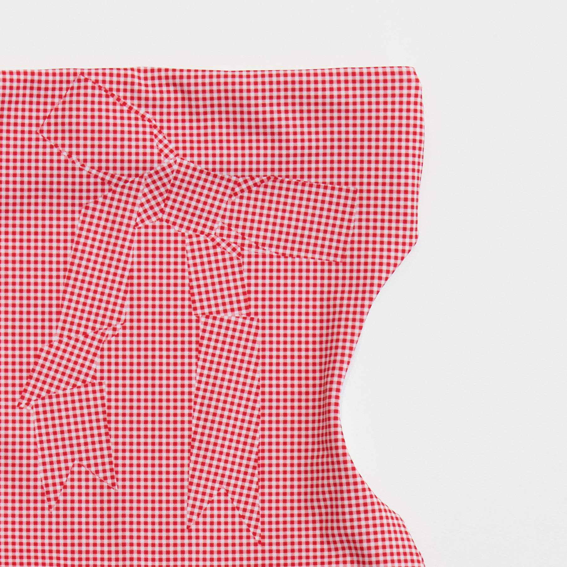 Gingham Check Ribbon Swimsuit _ Red - Dohyo 도효 - CAVA LIFE