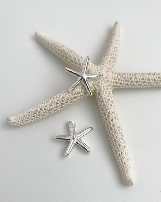 starfish stud earring - Next Green Door - CAVA LIFE