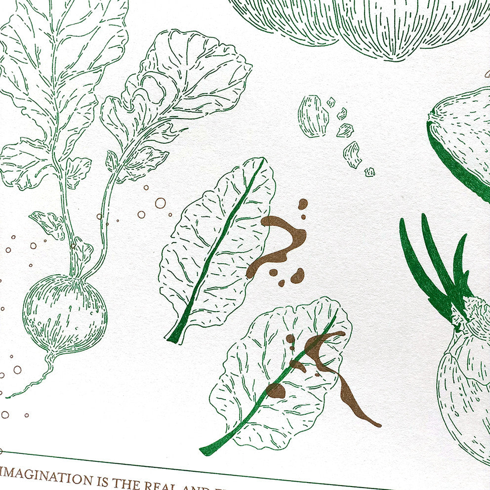 Vegetable Universe 포스터 - PAPER PLATE 페이퍼플레이트 - CAVA LIFE
