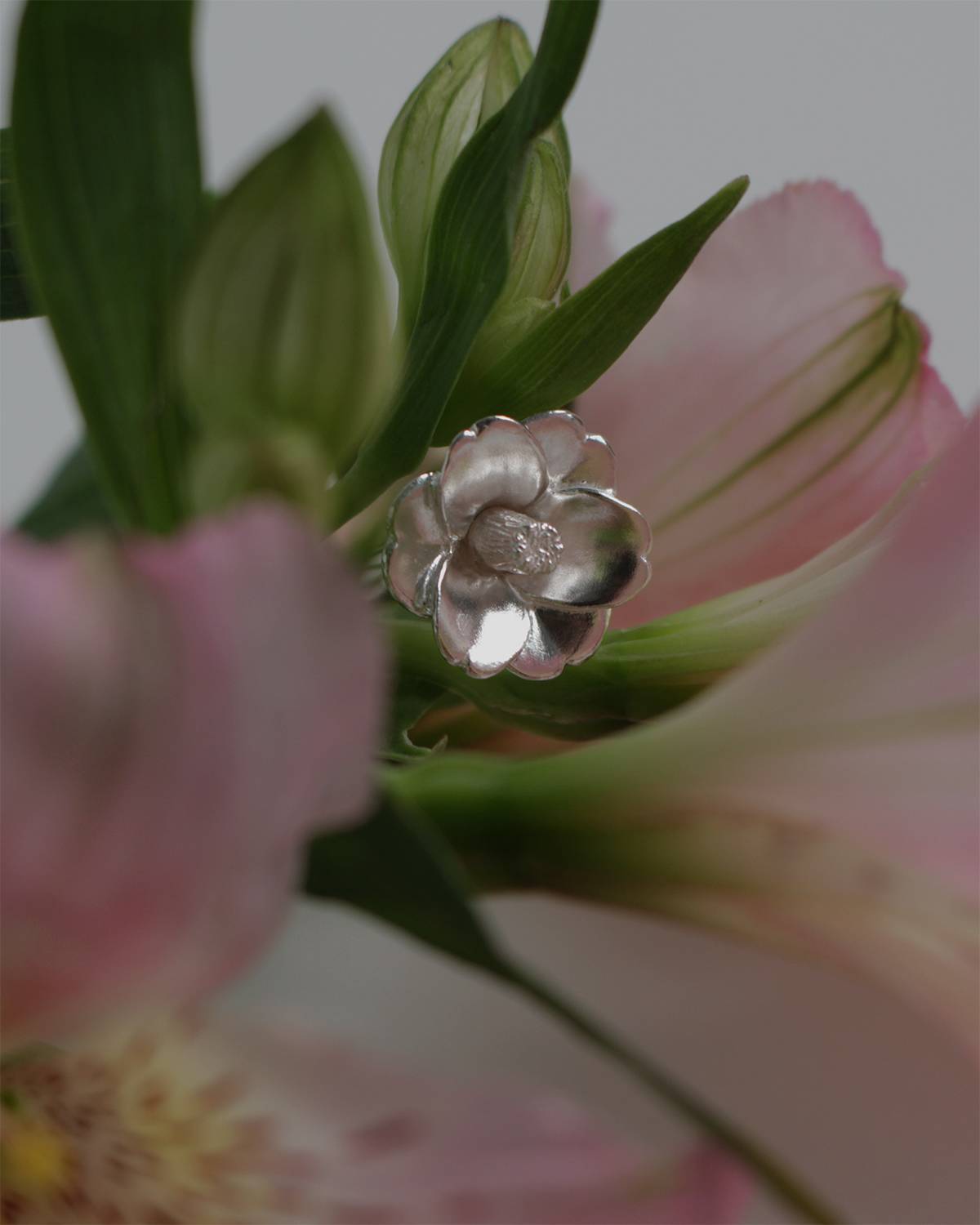 camellia ring