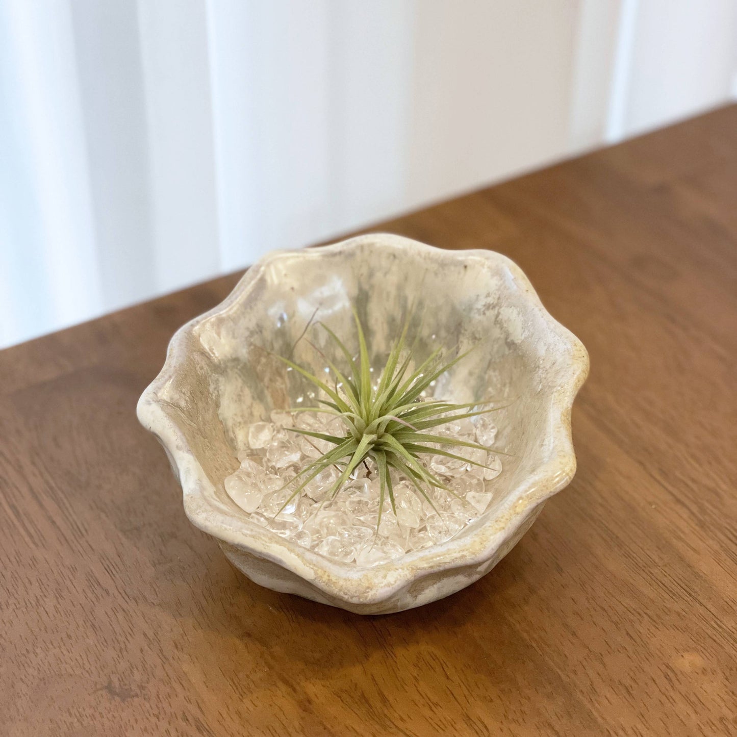 Decorative Bowl 04 shell