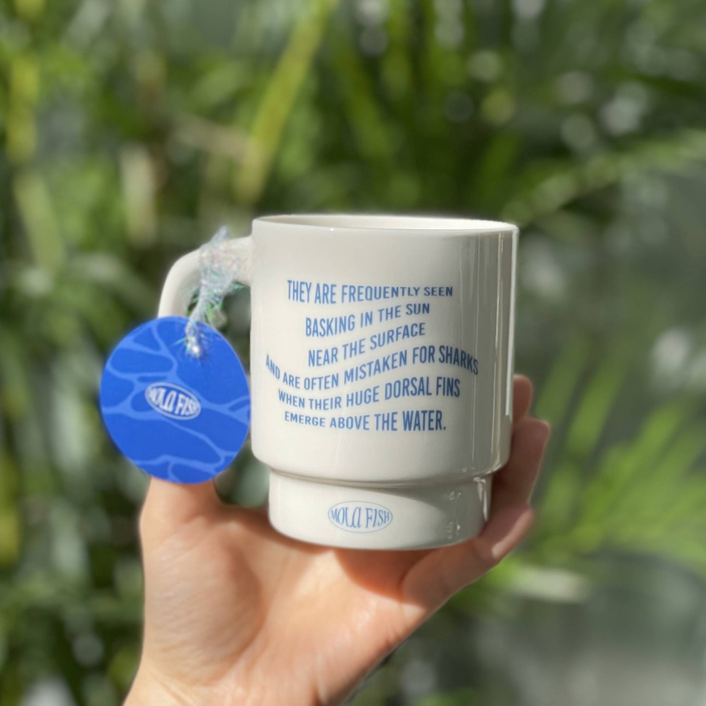 Mola Intro Mug