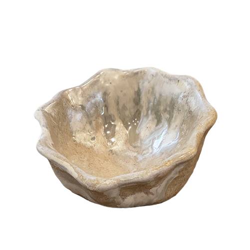 Decorative Bowl 04 shell