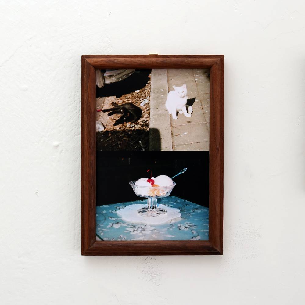 TWO CATS / ICE CREAM WITH FRAME