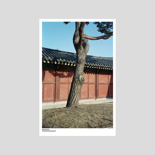 서울 나무 프린트: 82021–02–023 - Jeon Seeyoung 전시영 - CAVA LIFE